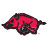 Arkansas Razorbacks